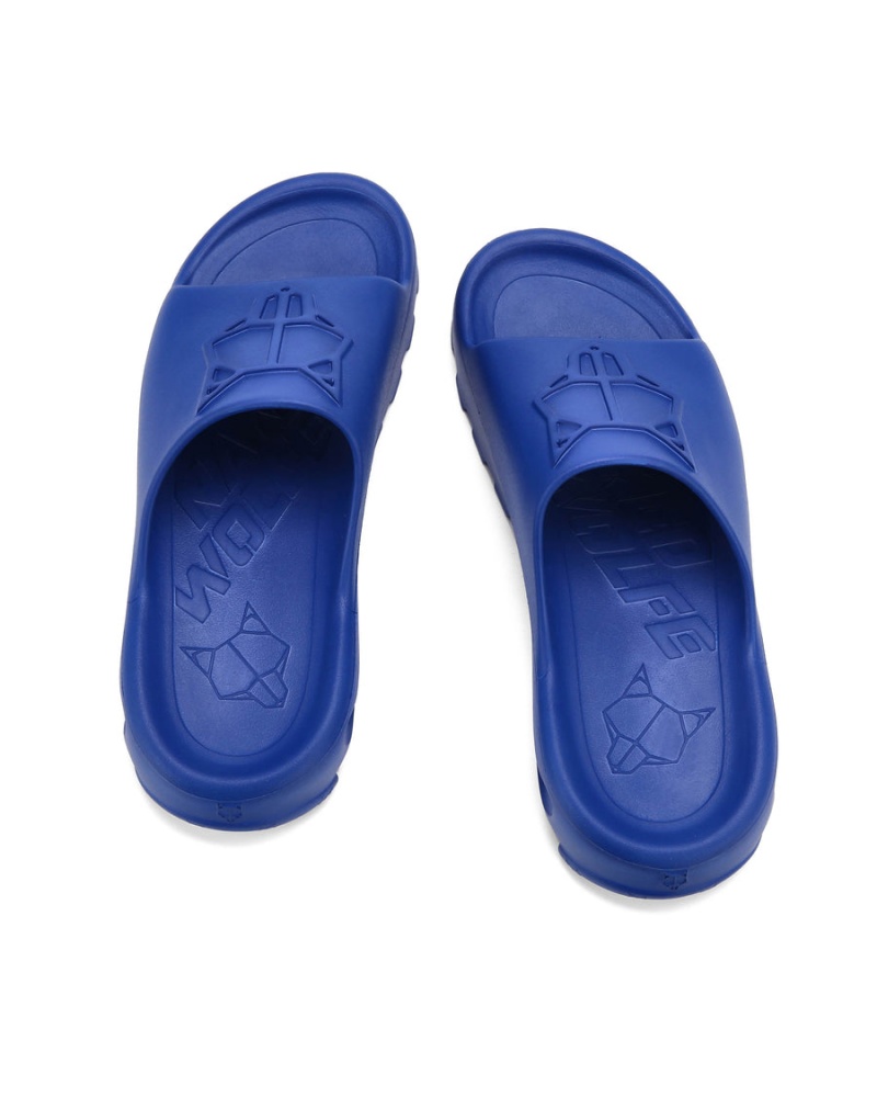 Naked Wolfe Tommy Badeslippers Heren Blauw | ZZC2274KX